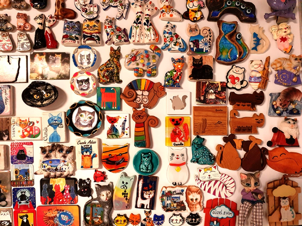 Berna Türemen Cat Art House